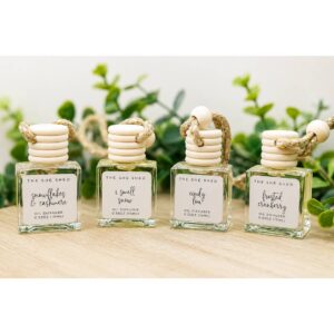 10 Ml Car Diffuser